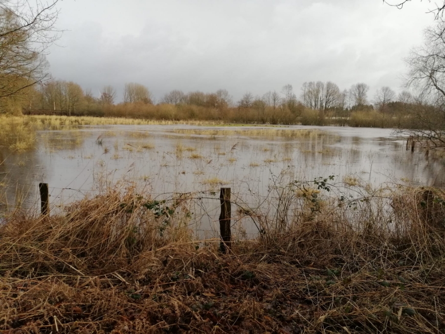 Land unter auf der ERNA-Wiese