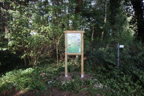 Hexenwald